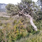 IMG_20220206_144052 lesquerde