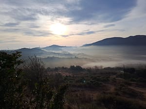 Lesquerde: whip effect