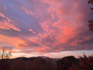 Lesquerde seen at night