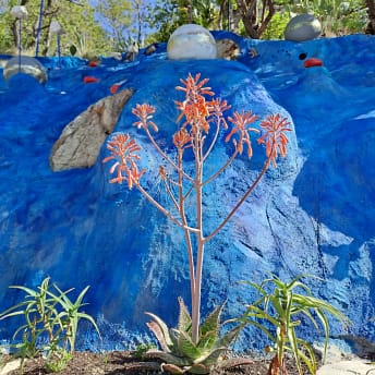 plants with sculpture